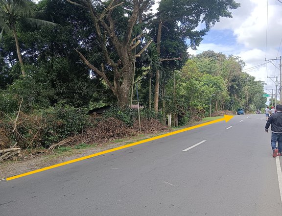5.2 Hectares Farm Lot for Sale Wide Frontage Indang Cavite