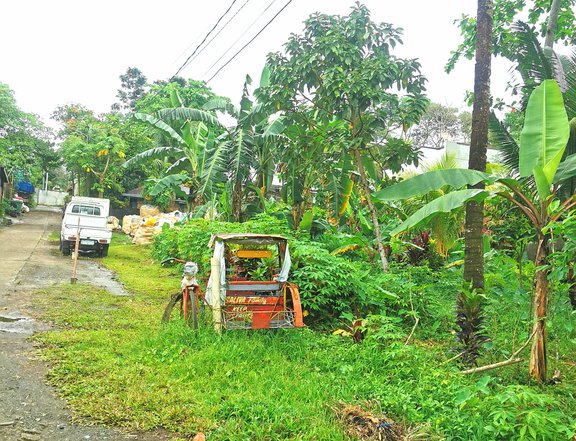 750 sqm Residential Lot Lot for Sale in Abucay, Tacloban City