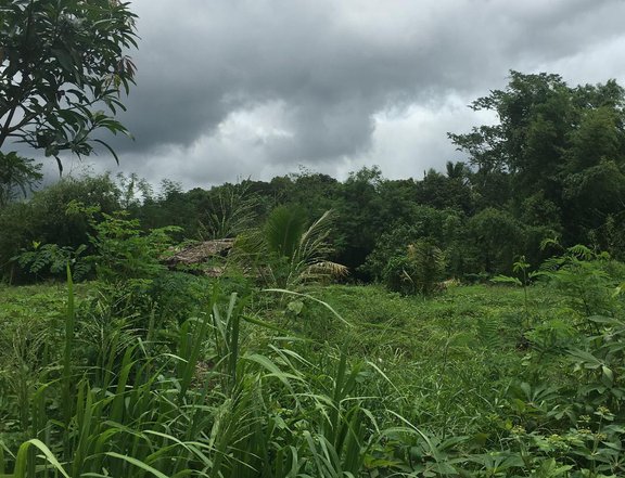 10.33 hectares Taw Land for Sale in Dinalupihan, Bataan