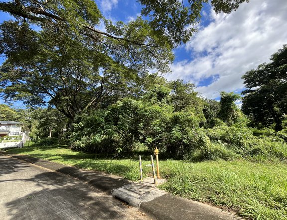 295 sqm Residential Lot For Sale in Angono Rizal