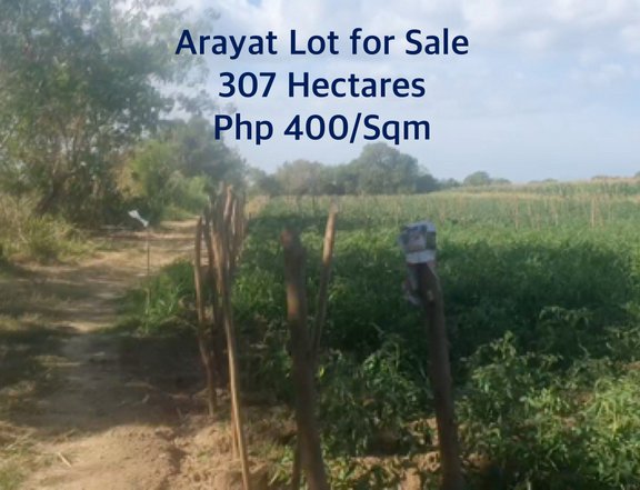 307 hectares Agricultural Lot For Sale in Arayat Pampanga