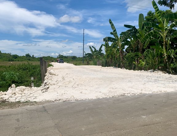 Lot Only in Pajo Daan Bantayan Cebu