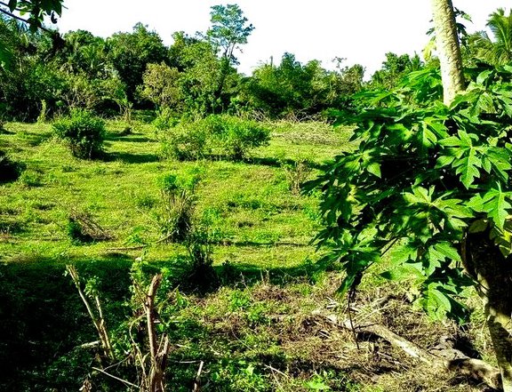 Farm lot for Residential leisure in Cavite near Tagaytay City