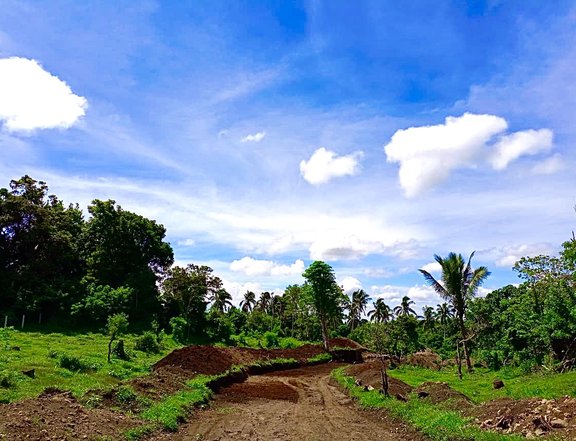 Farm lot with healthy soil near Tagaytay
