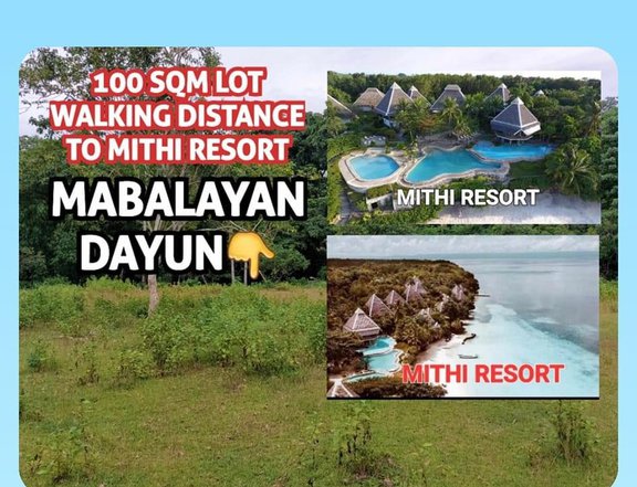 Affordable Land Investment in Panglao Island
