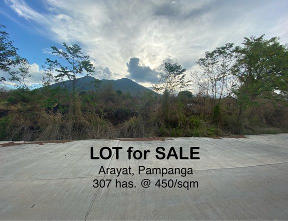 307 Hectares Agricultural Lot For Sale in Arayat Pampanga