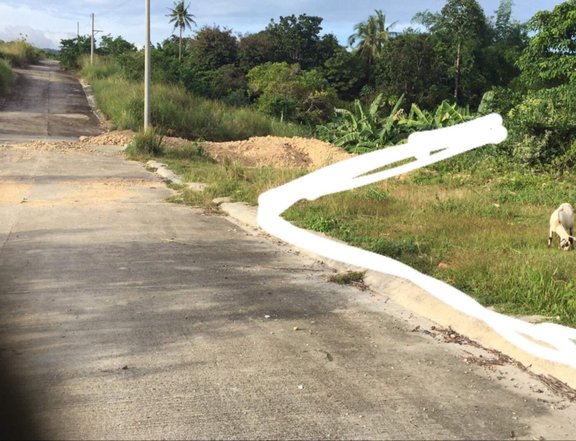 200 sqm Residential Lot for Sale at Club 30 Heights in Minglanilla Cebu