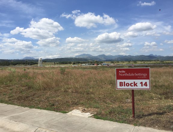 Lot for Sale in Alviera Estate Pampanga near Clark and Subic