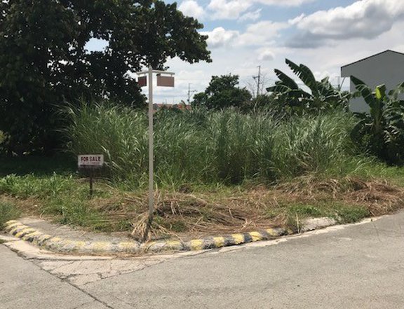 188 sqm Residential Lot For Sale in Dasmarinas Cavite