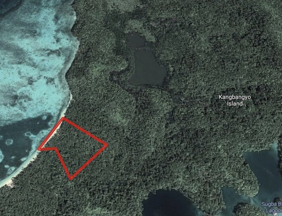 Beachfront Lot for Sale  5.4 Hectares Near Sugba Lagoon, Caub Island, Siargao