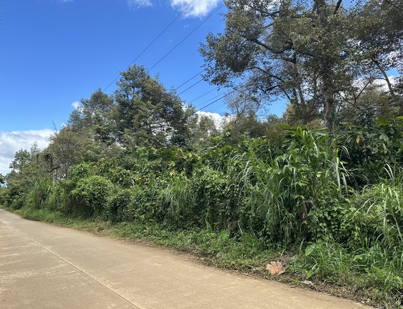 1 Hectare Farm Lot For Sale in Calinan Davao City