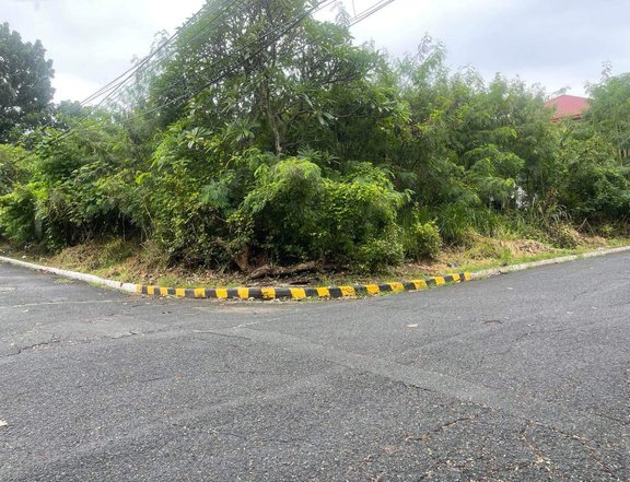 718 sqm Residential Lot For Sale UPS4 Subd.  in Paranaque Metro Manila