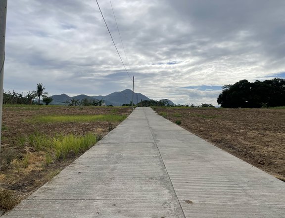 1,000 sqm Residential Farm For Sale in Nasugbu Batangas