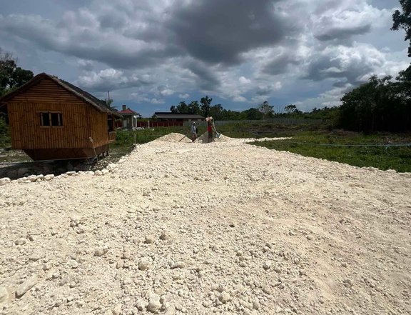 Residential Farm in Bohol
