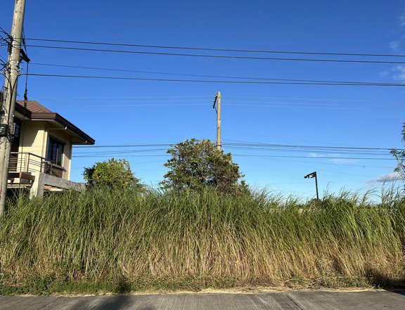 100 sqm Lot for Sale in Phase 1, Bridgepointe Place, Barangay Del Rosario, San Fernando Pampanga