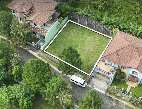 469 sqm Residential Lot For Sale in Alabang Muntinlupa Metro Manila