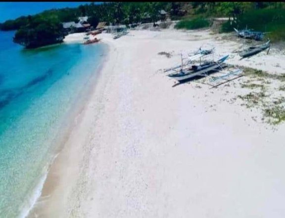 Lot along the beach property. Good for beach resort