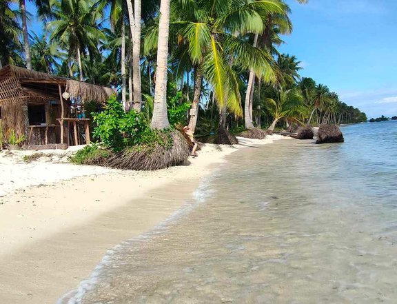 3.22 hectares Beach Property For Sale in Dapa, Siargao Islands