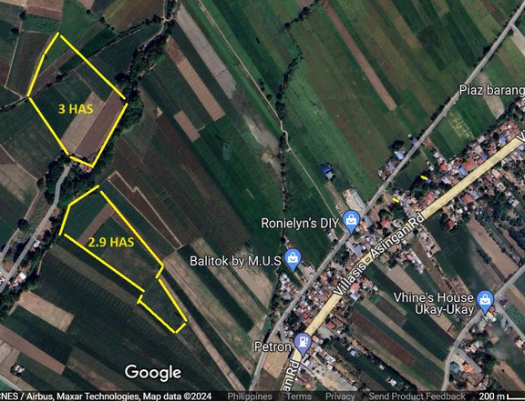 5.9 hectares Agricultural Farm For Sale By Owner in Barangay Piaz, Villasis, Pangasinan