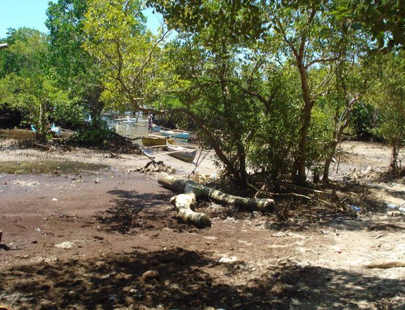 7 hectares Beach Property For Sale