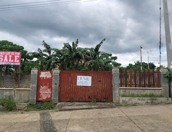 200 sqm Residential Lot For Sale with concrete fence already