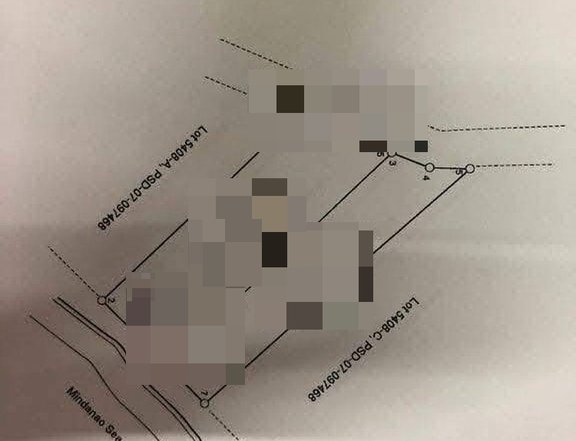 Beach lot for sale dauin