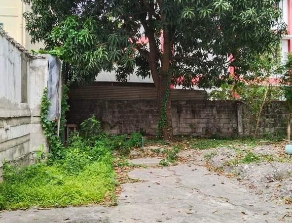 159 sqm Residential Lot For Sale in  New Lower Bicutan Taguig