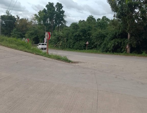 1.5 Hectares Residential Lot along the high-way in SAN AGUSTIN, TAGUM CITY