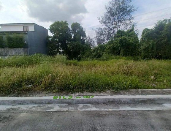 156 sqm Residential Lot For Sale in Cainta Rizal