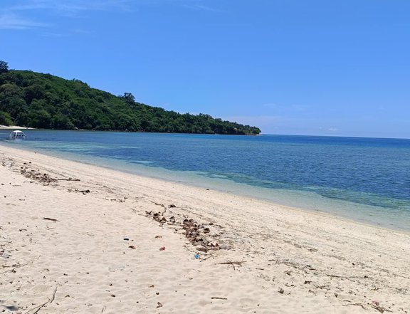 For Sale 9.2 hectares white beach lot in Sarangani