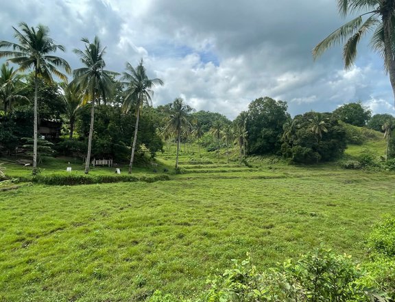 4,700 sqm Farm Lot For Sale in Buenavista Agusan Del Norte