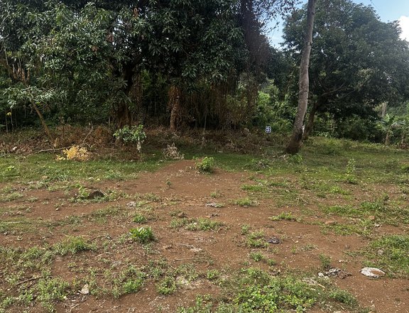 500 sqm Farm Lot in Baras Lot Overlooking Laguna Lake and Mountain view