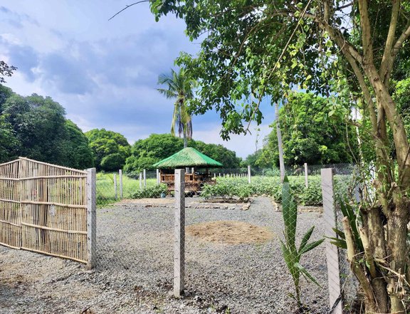 FREE FENCE & KUBO - 150 sqm Residential Farm For Sale San Juan Batangas