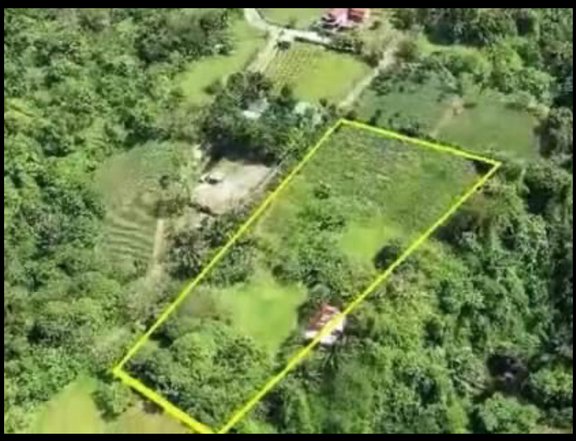 5,000 sqm Agricultural Farm For Sale I. Alfonso Cavite
