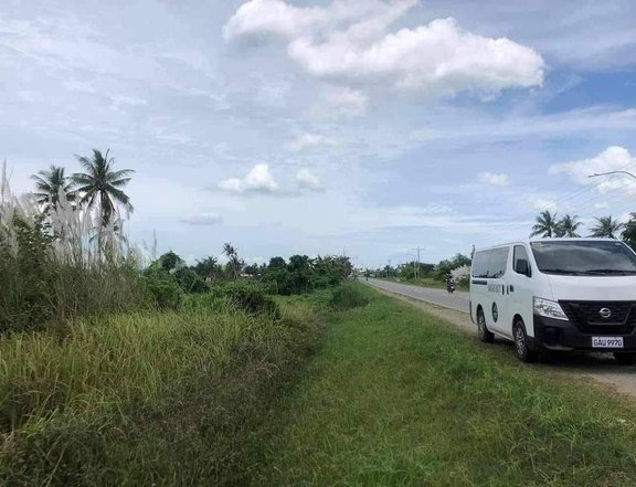 Along National Highway Commercial/Residential Lot in Ubay Bohol Phils