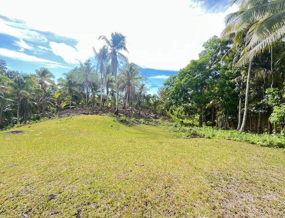 1.2 hectares Agricultural Farm For Sale in Samal Davao Del Norte