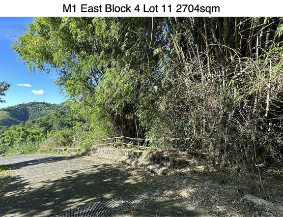 RESIDENTIAL FARM LOT FOR SALE WITH MOUNTAIN AND VALLET VIEW TIMBERLAND