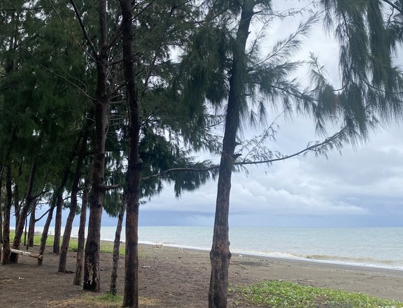 BEACH LOT FOR SALE IN INFANTA, QUEZON