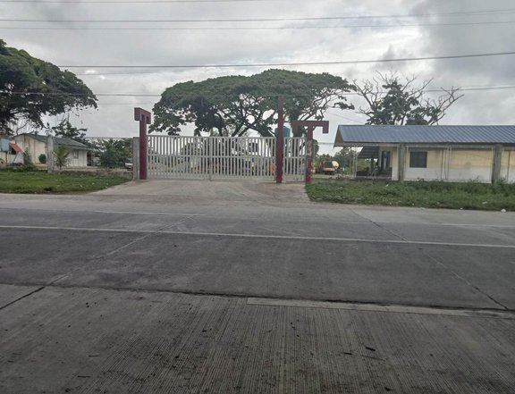 RUSH SALE 1 hectare Commercial Lot in Mamburao Occidental Mindoro