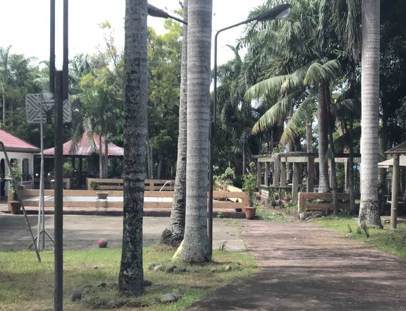 A 13.09-hectare agricultural estate in Brgy. Anilao-Labac, Lipa City
