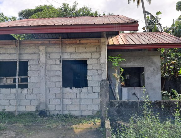 Unfinished House and Lot