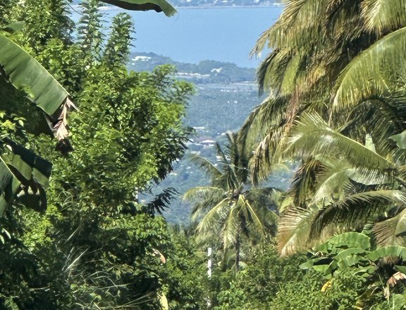 Overlooking Farm Lot For Sale in Catigan Davao City
