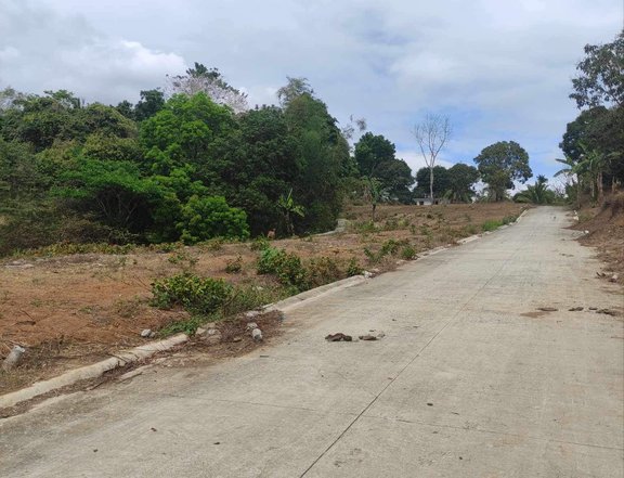 150 sqm Residential Lot For Sale in Magallanes Cavite