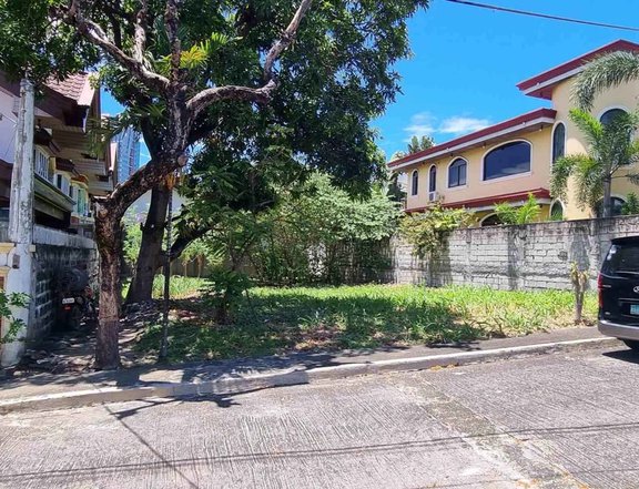 Residential Lot For Sale Tierra Nueva Village Alabang