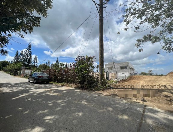 250 sqm Residential Lot For Sale in Tagaytay City