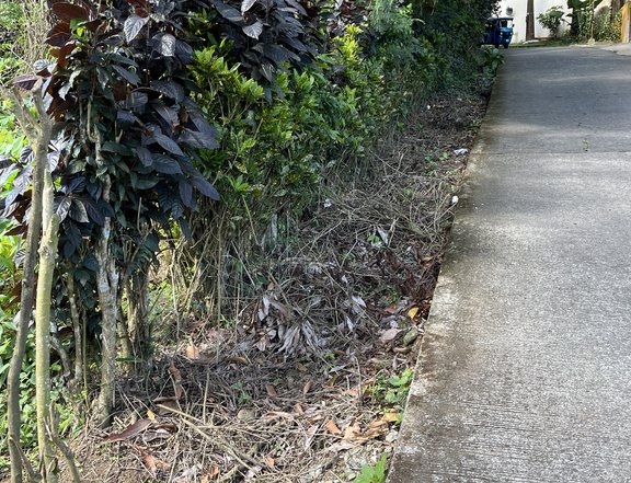 2,940 sqm Residential/commercial,along brgy road, overlooking,windy cold weather  event place area