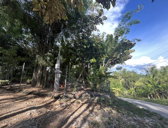 Lot For Sale Residential Area Brgy. Catagman Island Garden City of Samal 8117sqm Lot Area