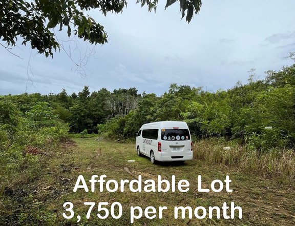 Lot For Sale in New Lourdes Cortes Bohol