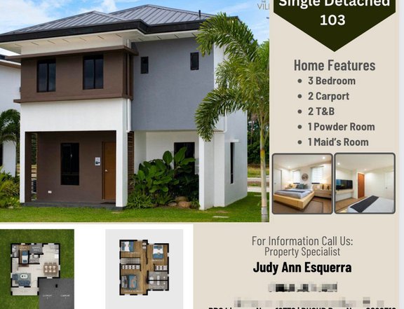 House and lot, lot only and condominium