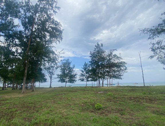 BEACH LOT FOR SALE - INFANTA, QUEZON